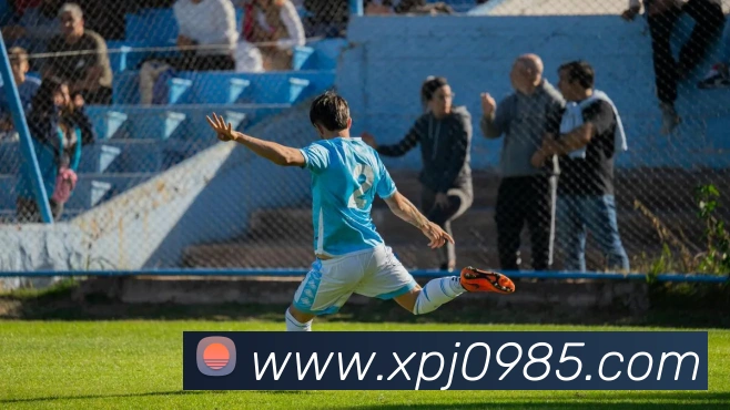 新葡京娱乐场平台生态图